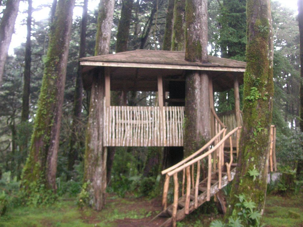 Hotel Chalet Tirol Heredia Extérieur photo